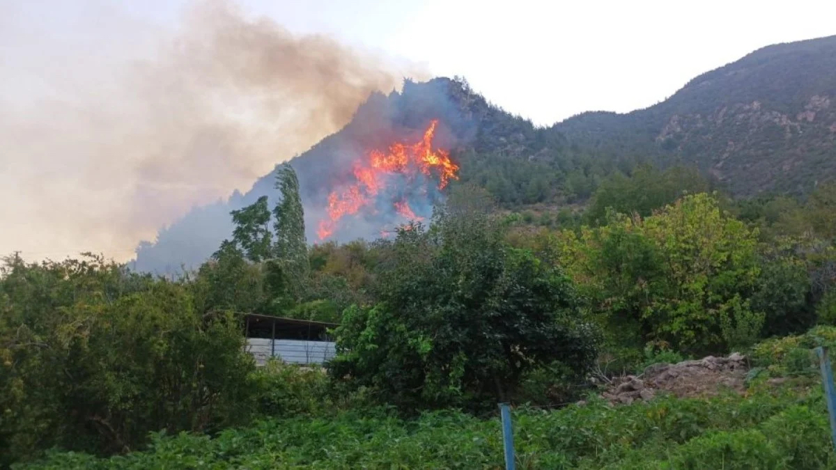 Hatay Kırıkhan’da orman yangını