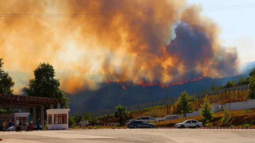 Suriye’deki orman yangını Türkiye'ye sıçradı! Ekiplerin müdahalesi sürüyor