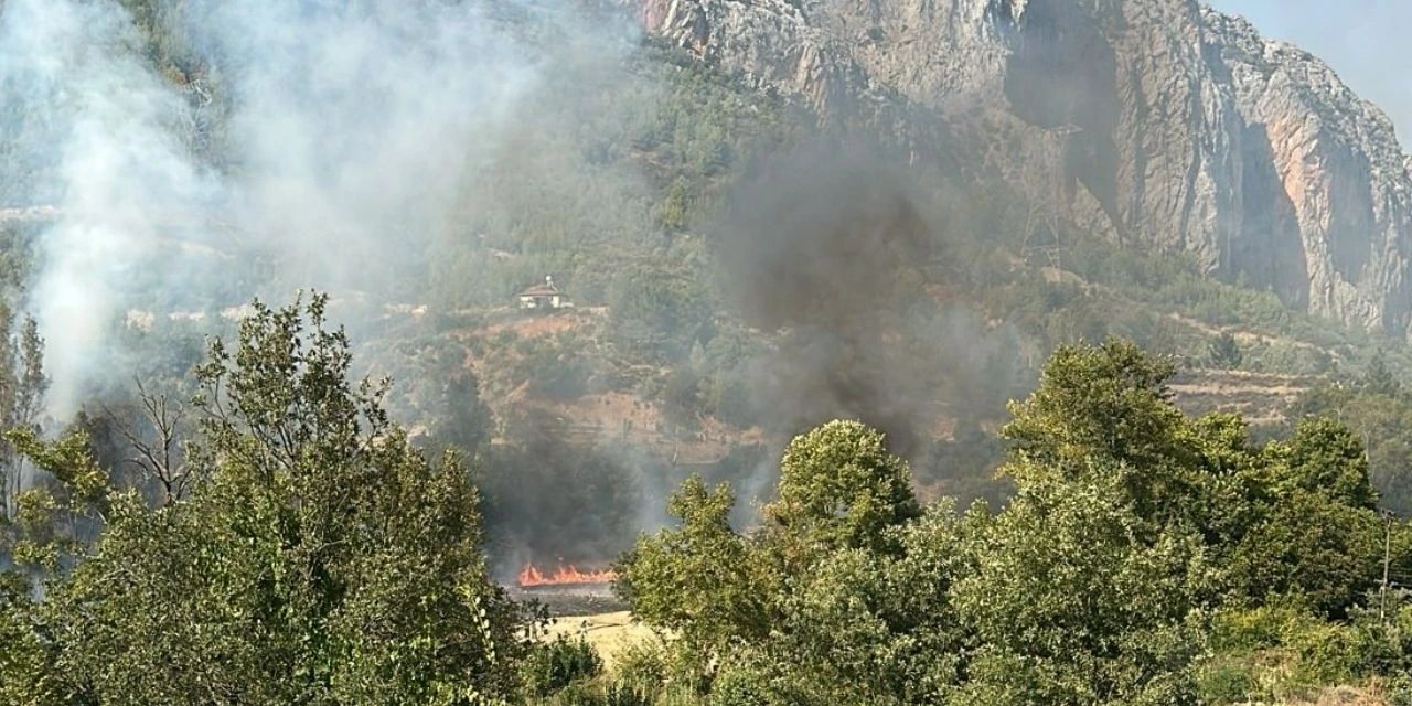Mersin Anamur'da orman yangınına müdahale sürüyor