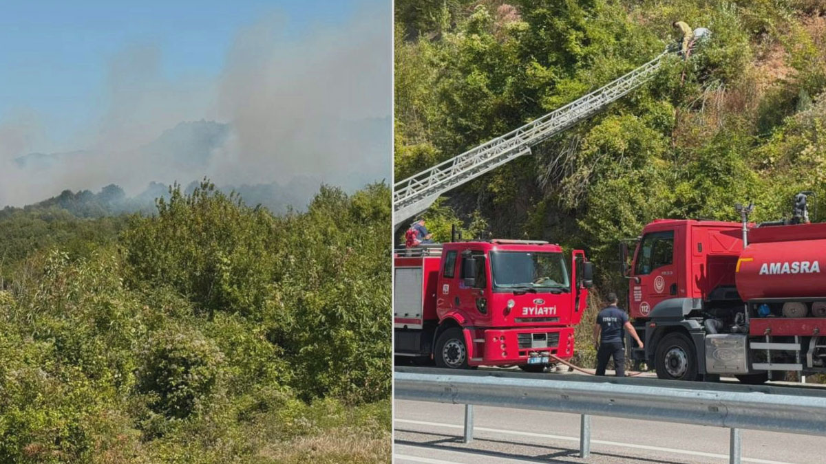 Bartın'da orman yangını