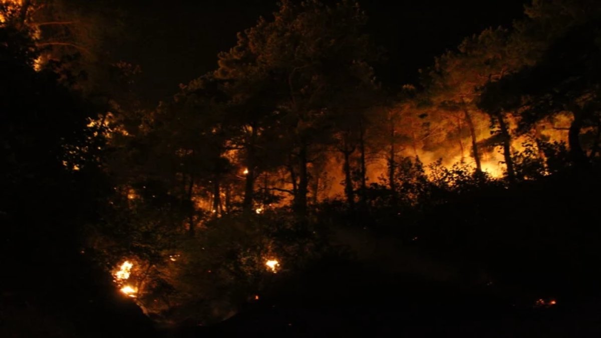 Yangınların biri sönmeden yenisi başlıyor: Çanakkale ve Kocaeli alevlere teslim