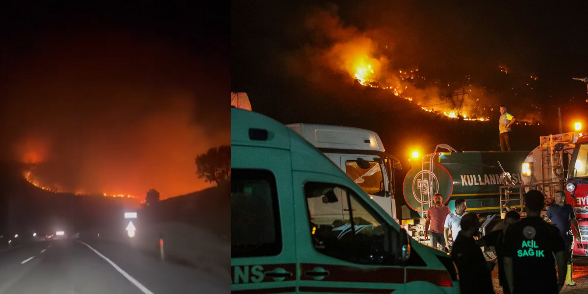 Diyarbakır'da 3 ilçede orman yangını! DEM Parti'den acil müdahale çağrısı