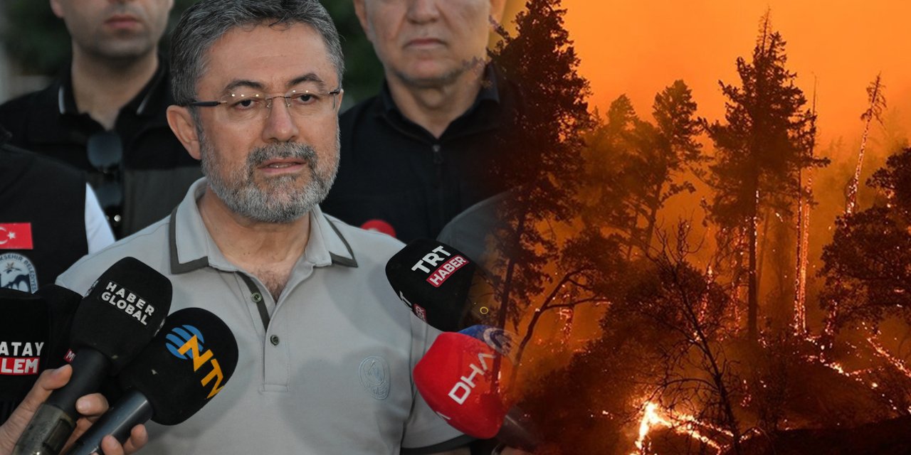 Yangından etkilenen bölgelere yeni yasak geliyor! Bakan Yumaklı açıkladı
