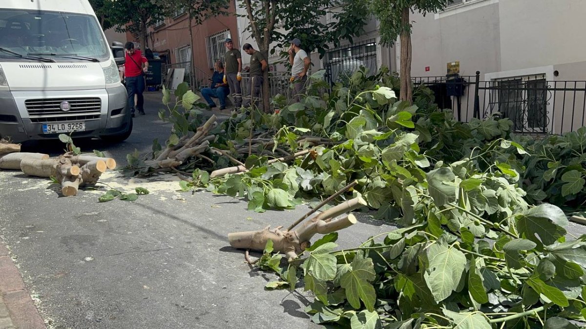 İstanbul’da ağaçlar yola devrildi: Trafik aksamaları yaşandı