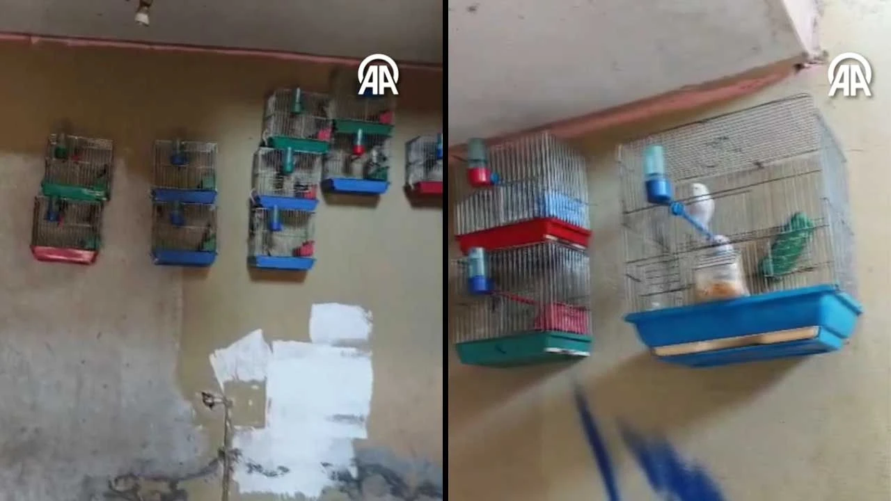 Evde beslediği için 151 bin lira ceza kesildi