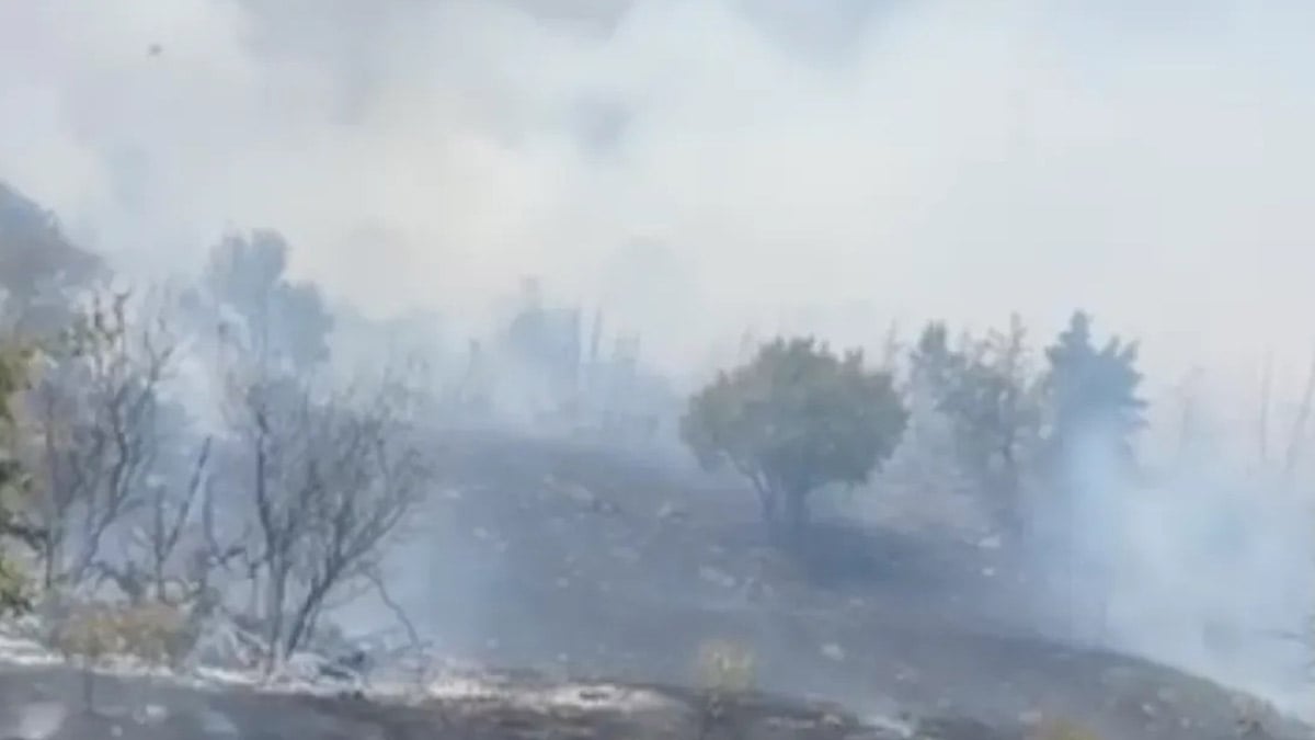 Malatya'da orman yangını