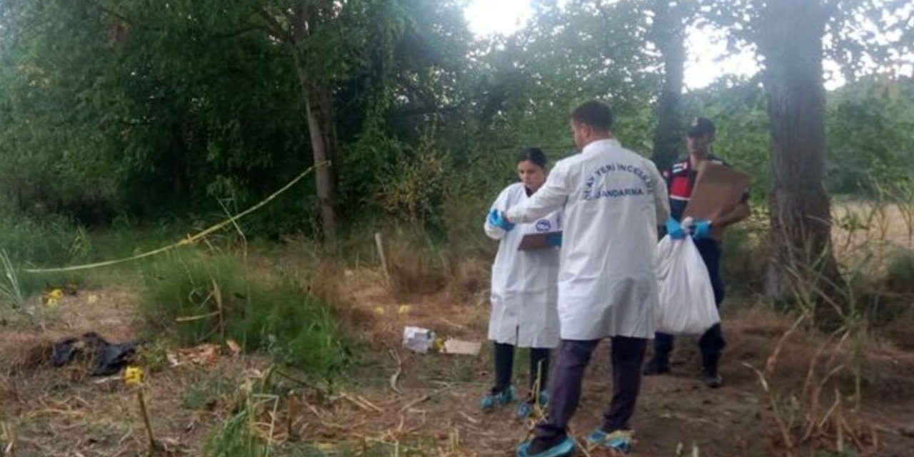 Tarlada bulunan kafatası ve kemiklerin kime ait olduğu belli oldu