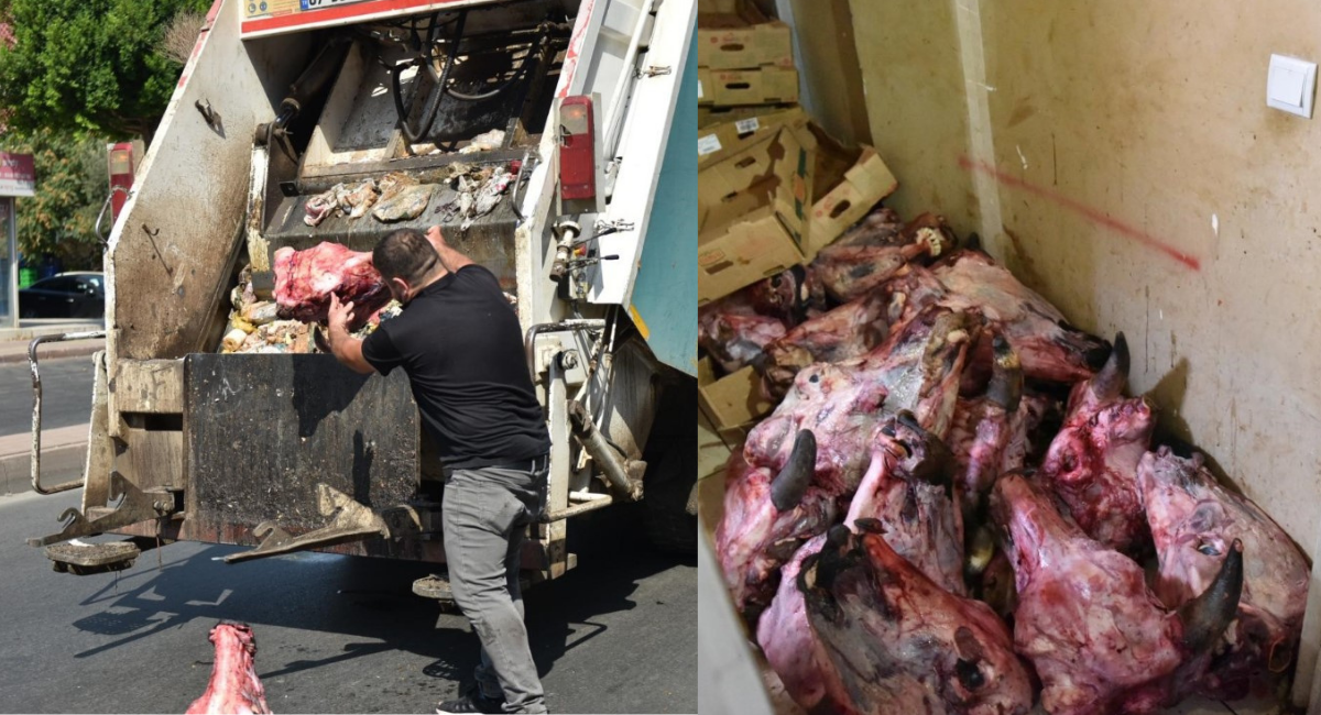 Mide bulandıran olay! Yumurta paketinden hamam böceği yumurtaları çıktı