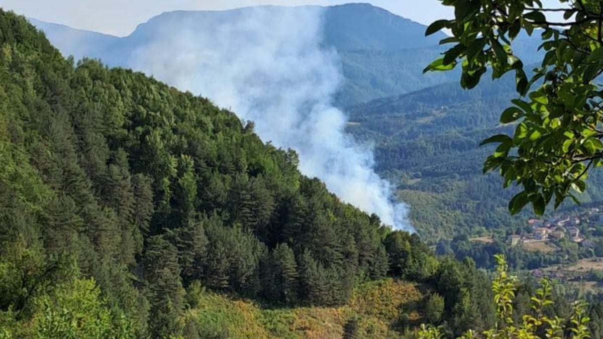 Sinop’ta ormanlık alanda yangın çıktı