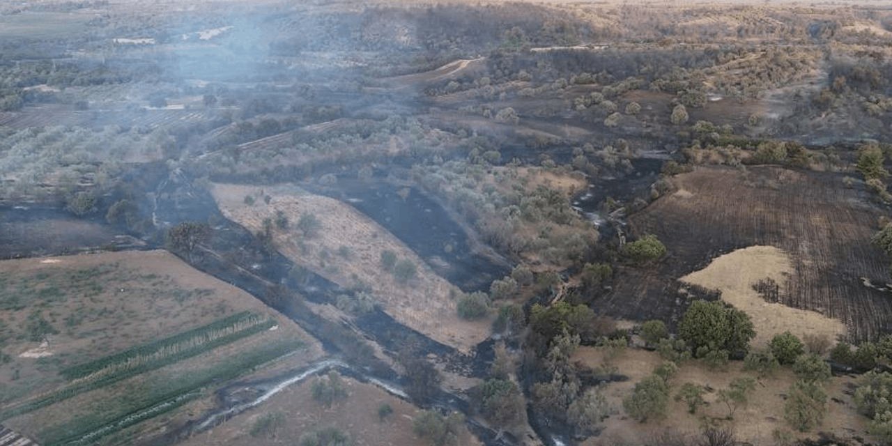 Çanakkale 8 gün boyunca yanmıştı: Bilançosu belli oldu! "Bölge imara açılacak mı" sorusuna yetkililerden yanıt