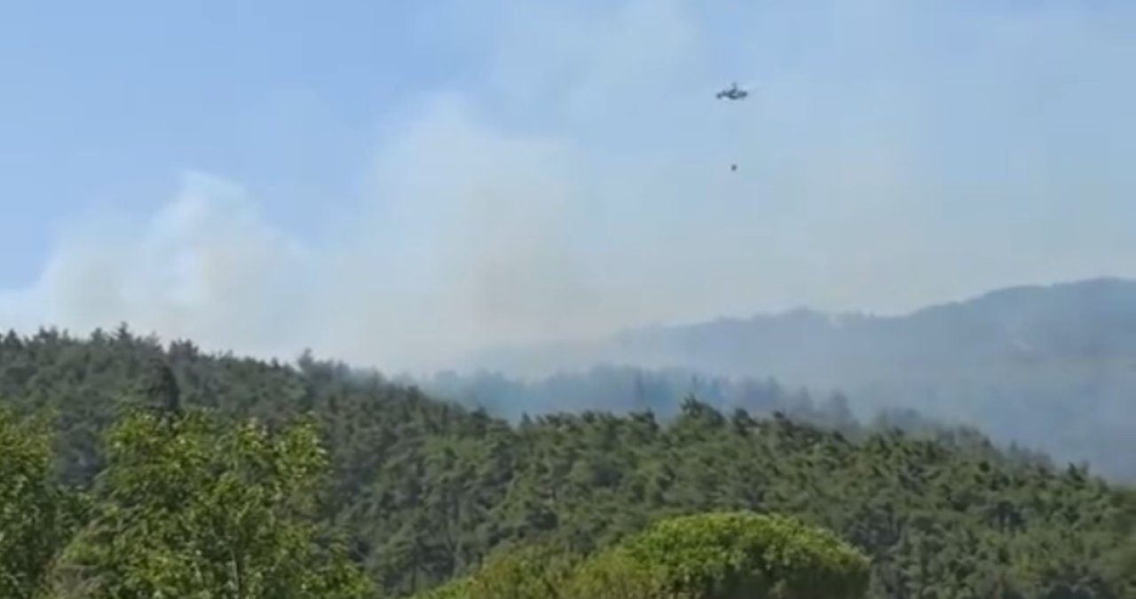 Çanakkale Gelibolu'da orman yangını