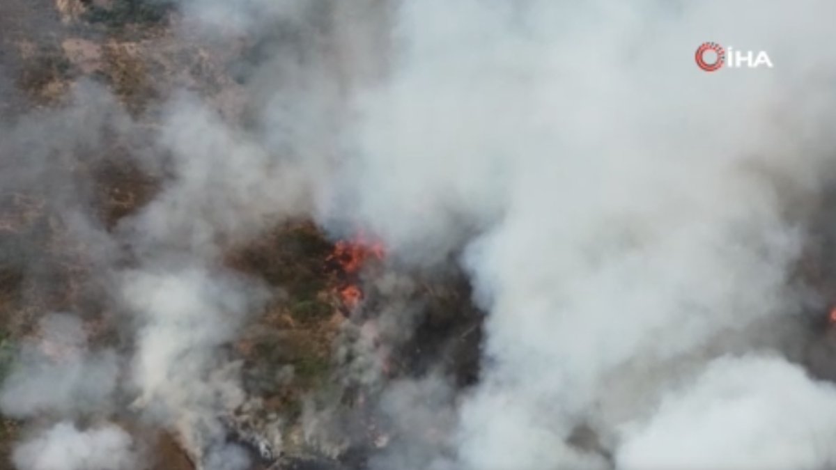 Kocaeli’de orman yangını: Alevler evlere sıçradı