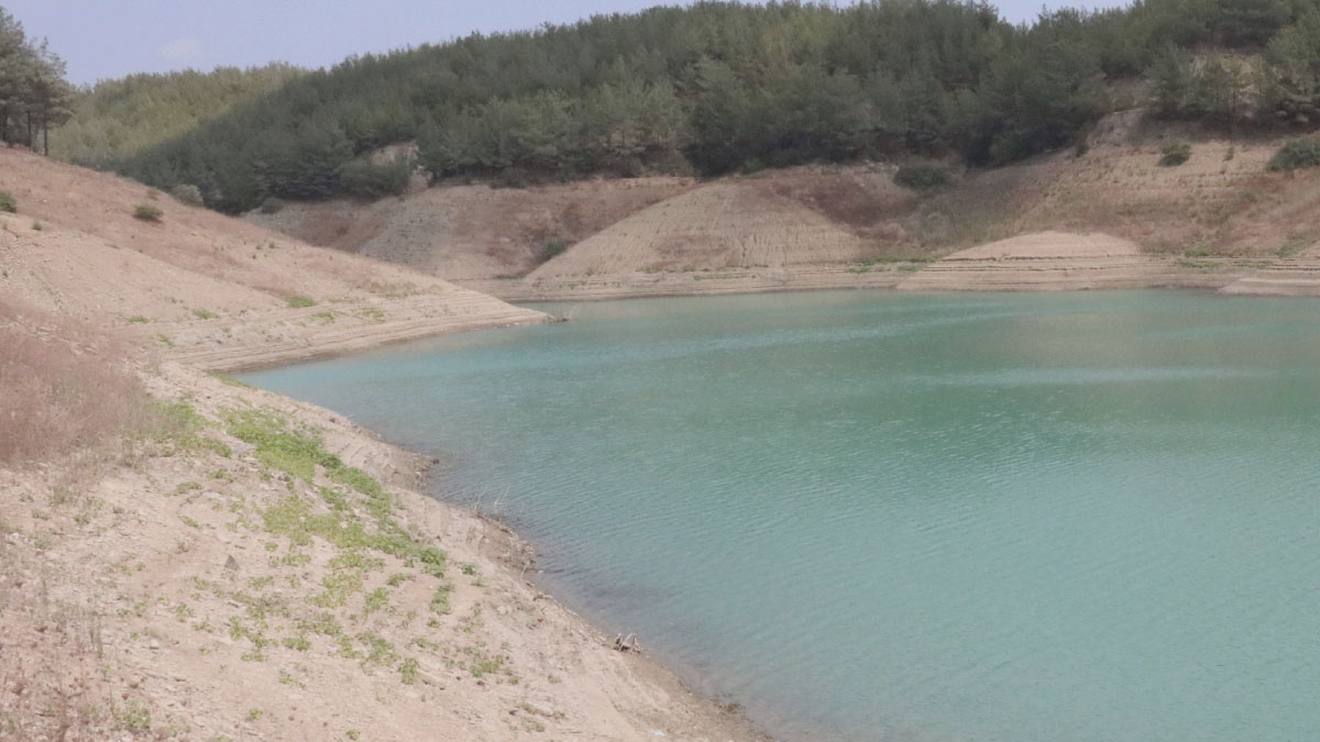 Adana da kuraklığın etkisi altına girdi: Üç barajın doluluk oranı düştü!