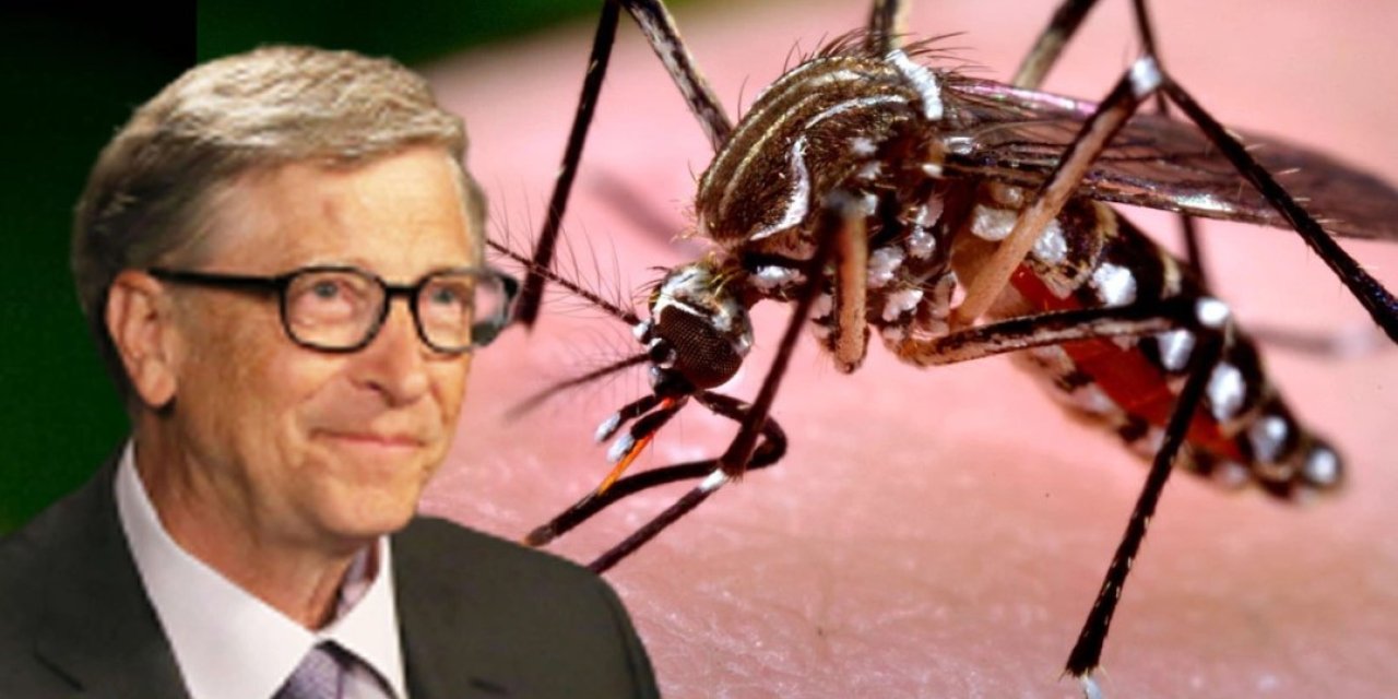 Gates’in projesine Afrika’dan tepki! Burkina Faso, genetiği değiştirilmiş sivrisineklere savaş açtı