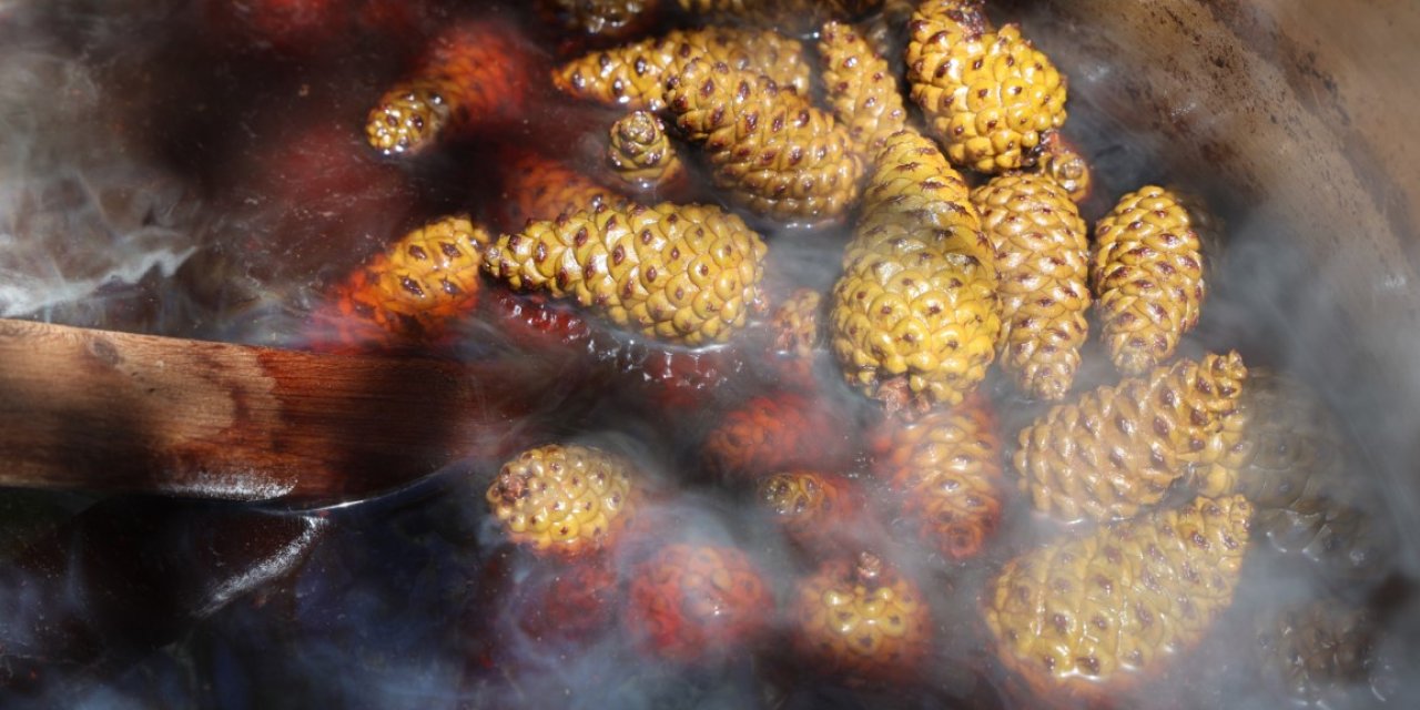 Sigara içenlere doğal destek! Kozalak şurubu Astım ve KOAH’a da iyi geliyor