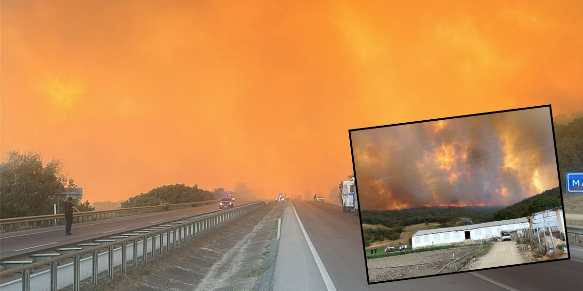 Bursa'da yangın alarmı! Alevler yerleşim yerine yaklaştı kara yolu trafiğe kapatıldı