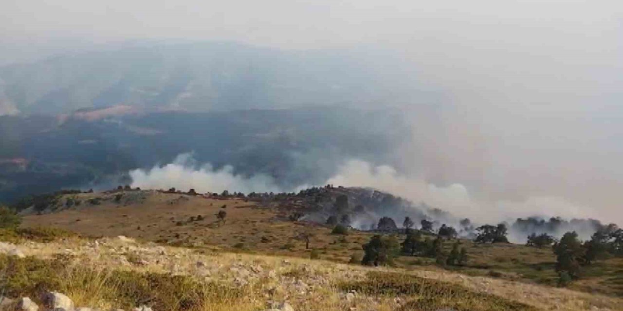 Amasya’da orman yangını