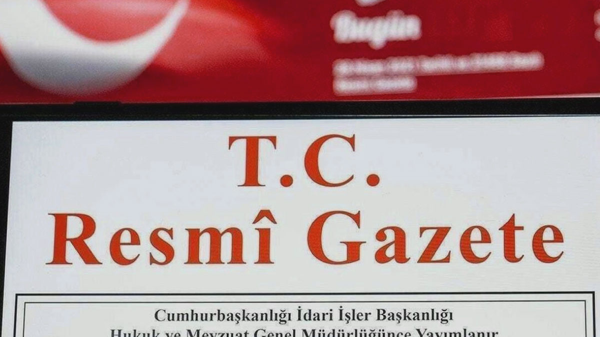 3 şehirde sokak hayvanları için koruma birliği kurulacak