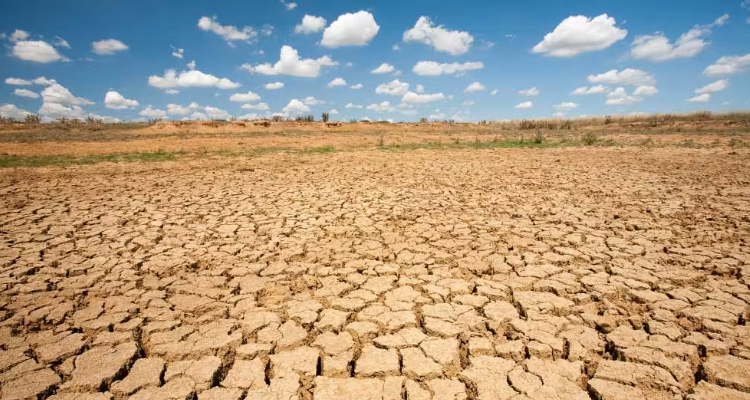 Copernicus raporu yayımlandı: Dünya 