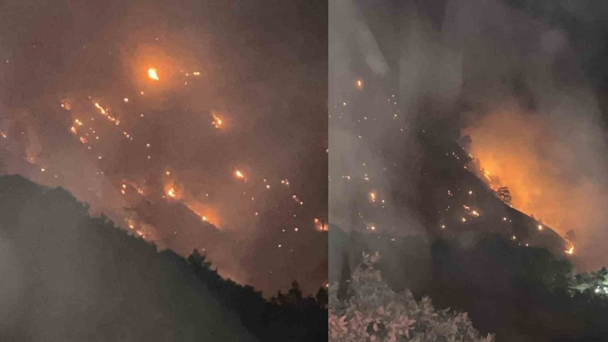 Denizli'deki orman yangını Aydın’a ulaştı