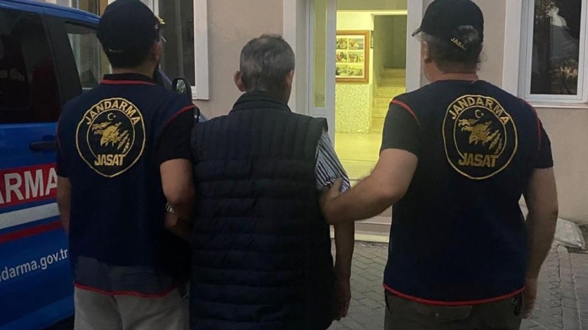 İzmir'de katliam: 5 köpek ve 3 kediyi öldürdü