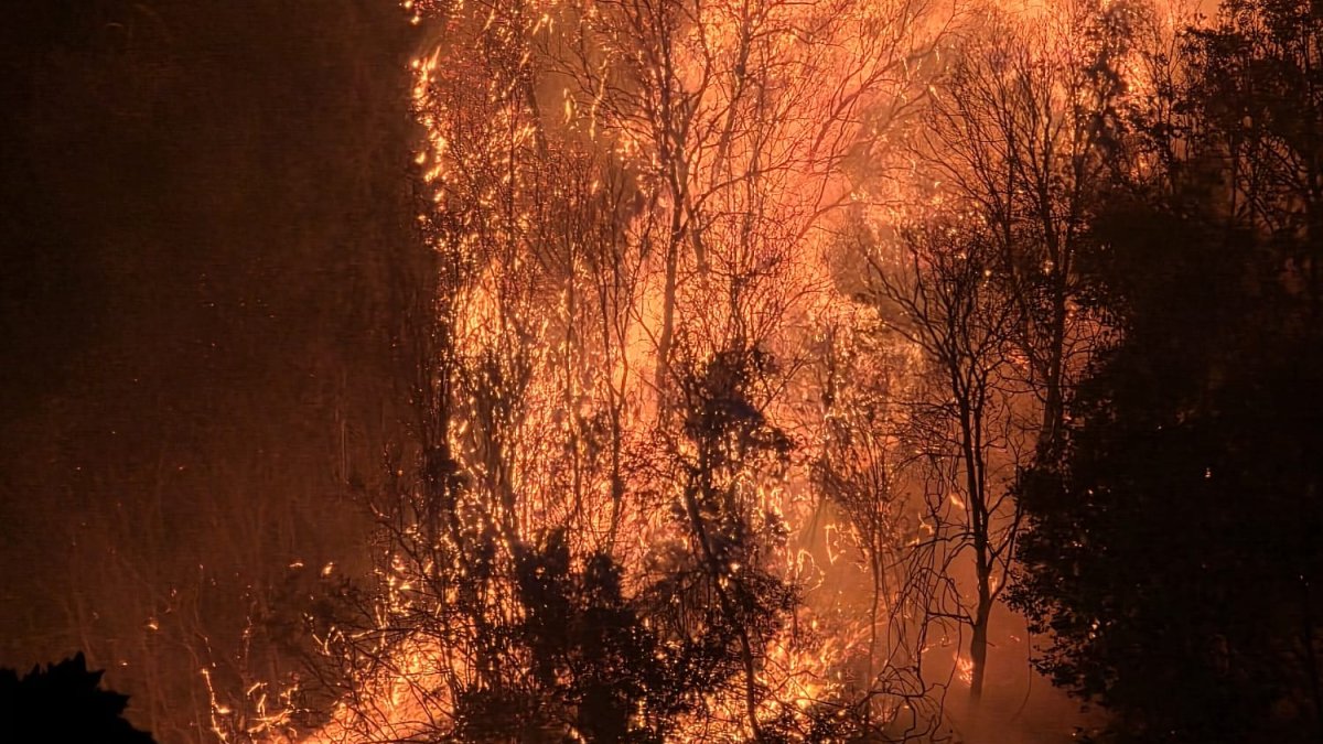Denizli'de orman yangının 5. günü: Alevler hastaneye dayandı