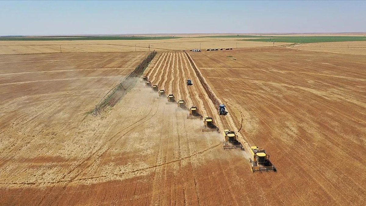 “Kiralık tarla” dönemi başladı: Uzmanlardan uyarı geldi