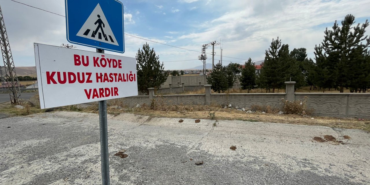 Tilkiyle boğuşan köpekte kuduz tespit edildi! Belde karantinaya alındı