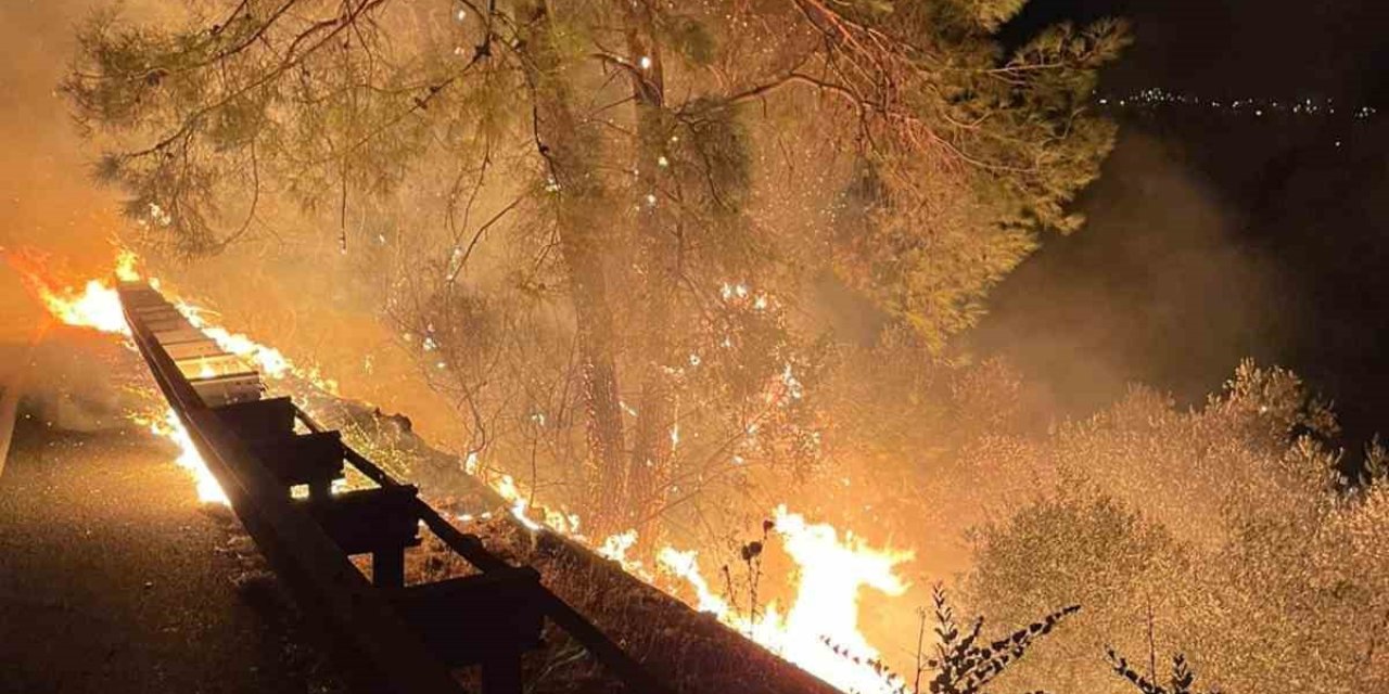 Muğla'da orman yangını