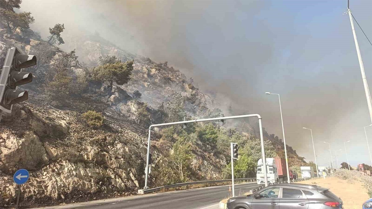 Aydın'da orman yangını