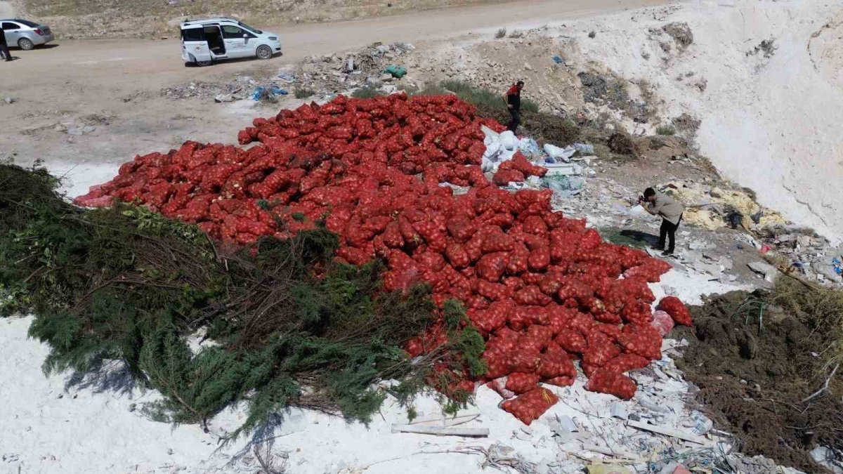 Karaman'da tonlarca soğan dökülmüş halde bulundu: Vatandaşlar seçerek evlerine götürdü