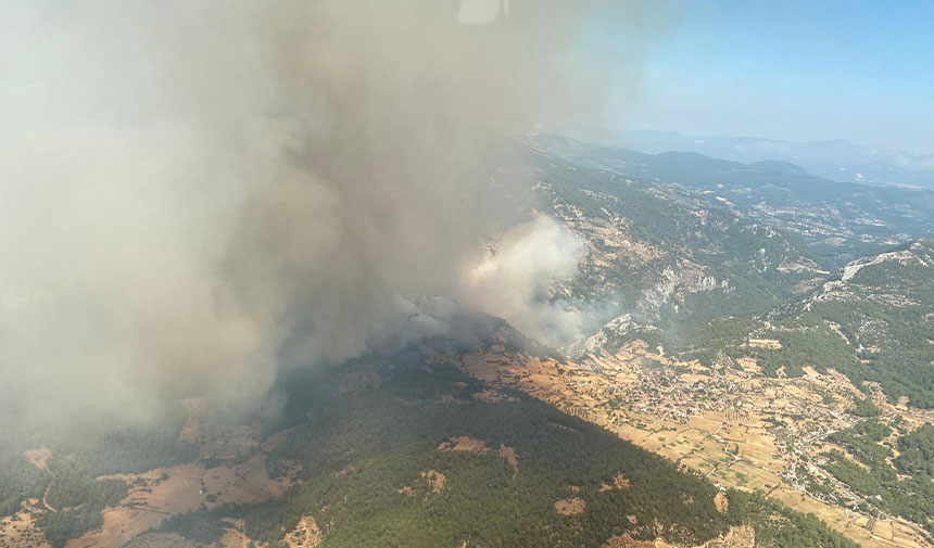 Muğla'da orman yangını