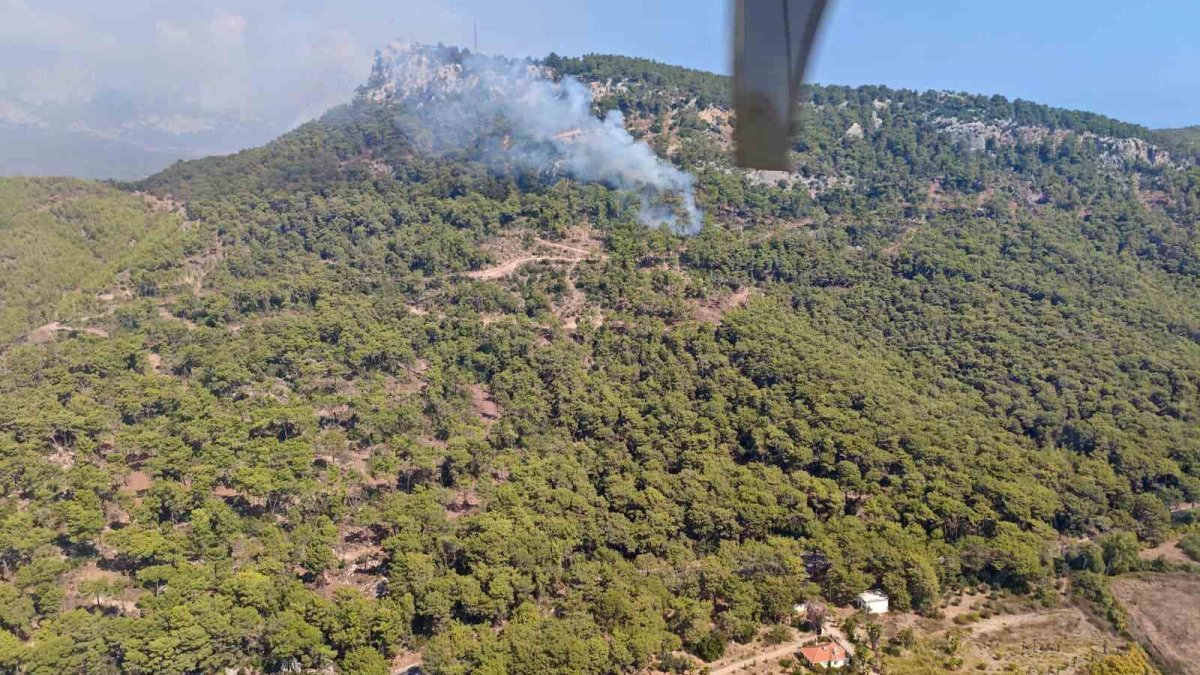 Antalya Kemer'de orman yangını