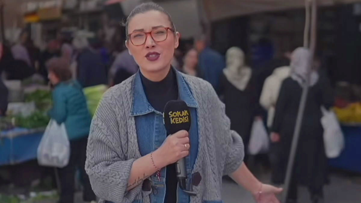 Sokak Kedisi gözaltına alındı