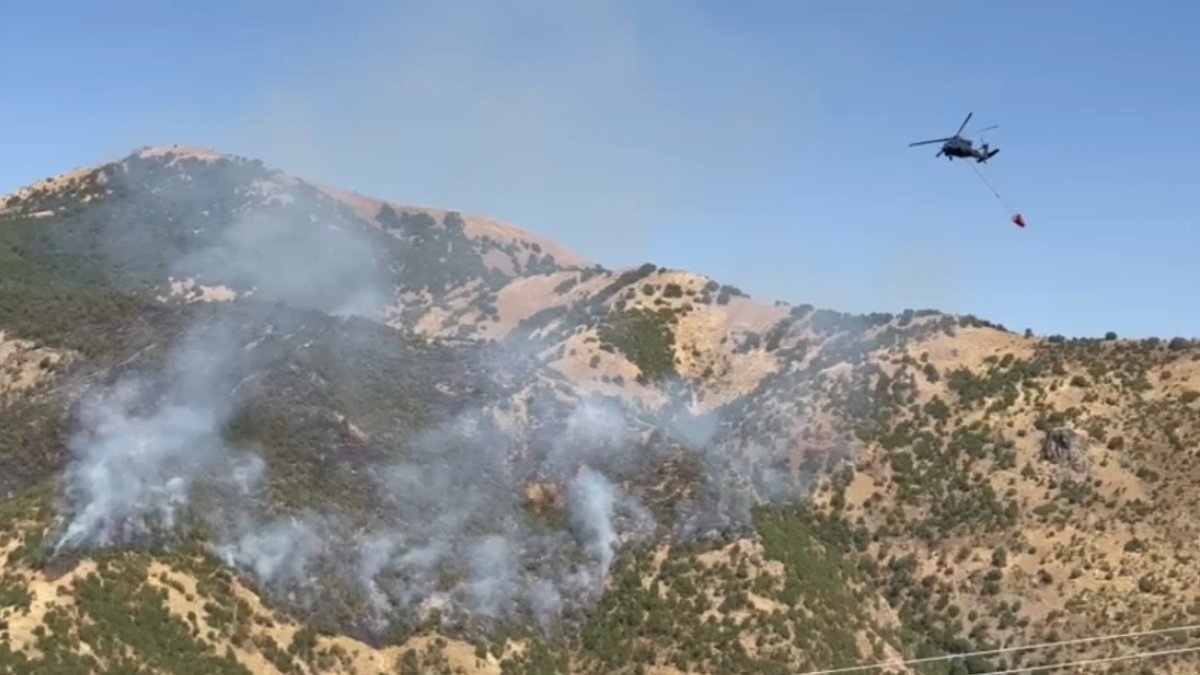 Hakkari'de ormanlık alanda yangın