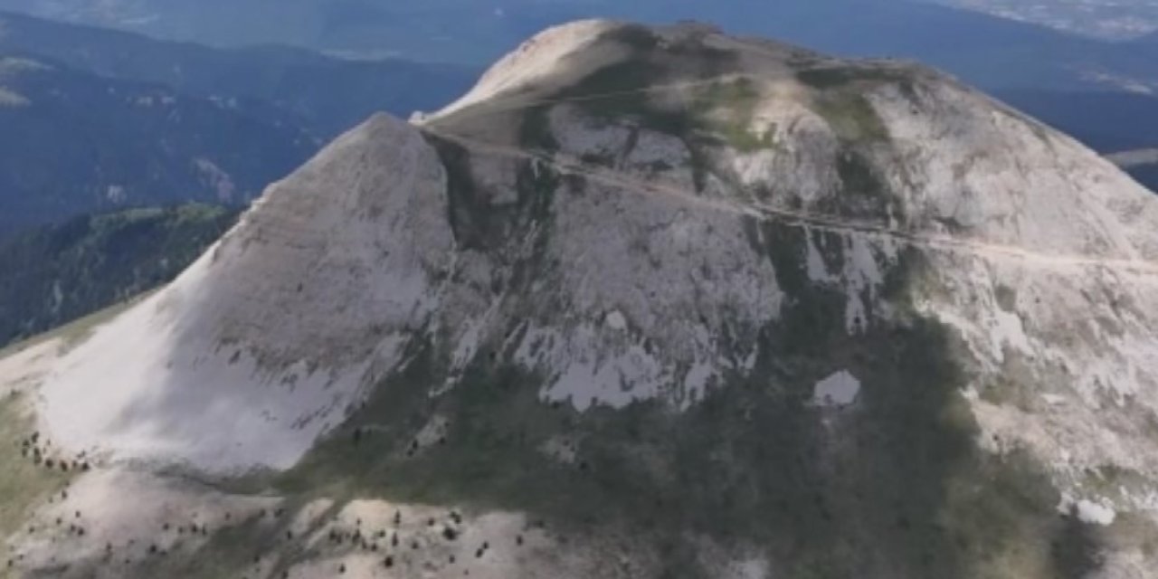 Ilgaz Dağı zirvesinde 60 milyon yıllık deniz fosilleri bulundu