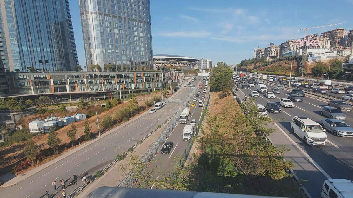 Antalya'da kediyi tekmeleyen kişiye gözaltı