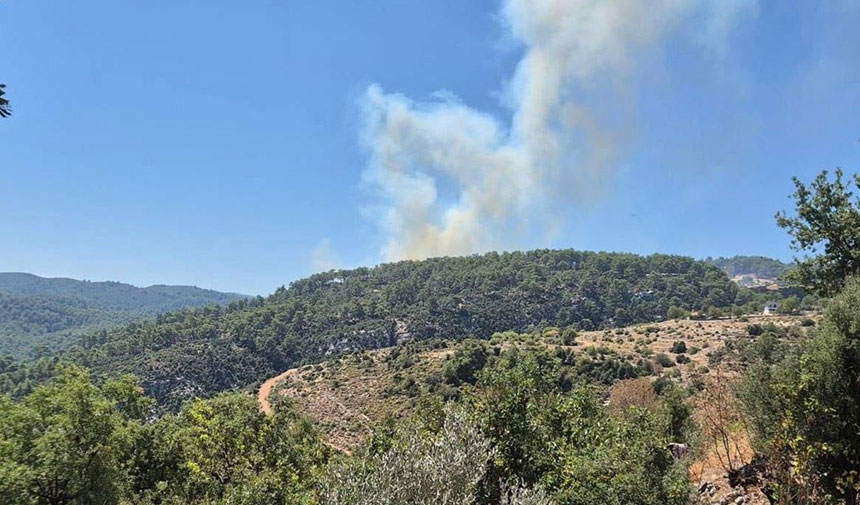 Antalya'da orman yangını