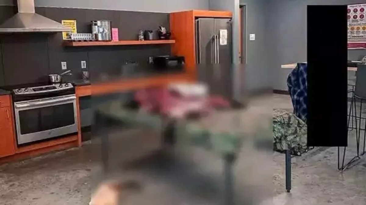 Üniversite yurdunda korkunç olay: Mutfakta ayıyı parçalara ayırdılar