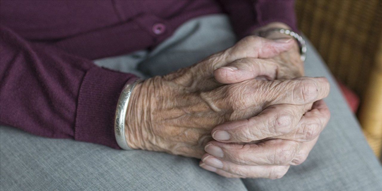 Süper yaşlı ülke: Evlerin yüzde 40’ında tek kişi yaşıyor