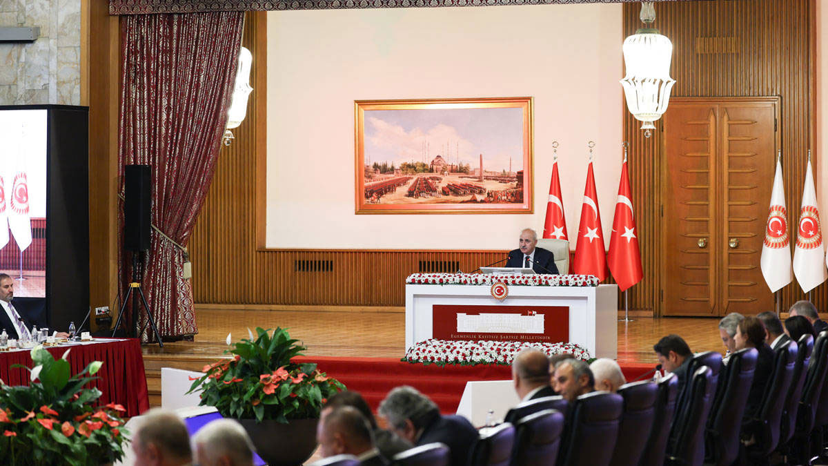 Milli Dayanışma, Kardeşlik ve Demokrasi Komisyonu'nda bu hafta