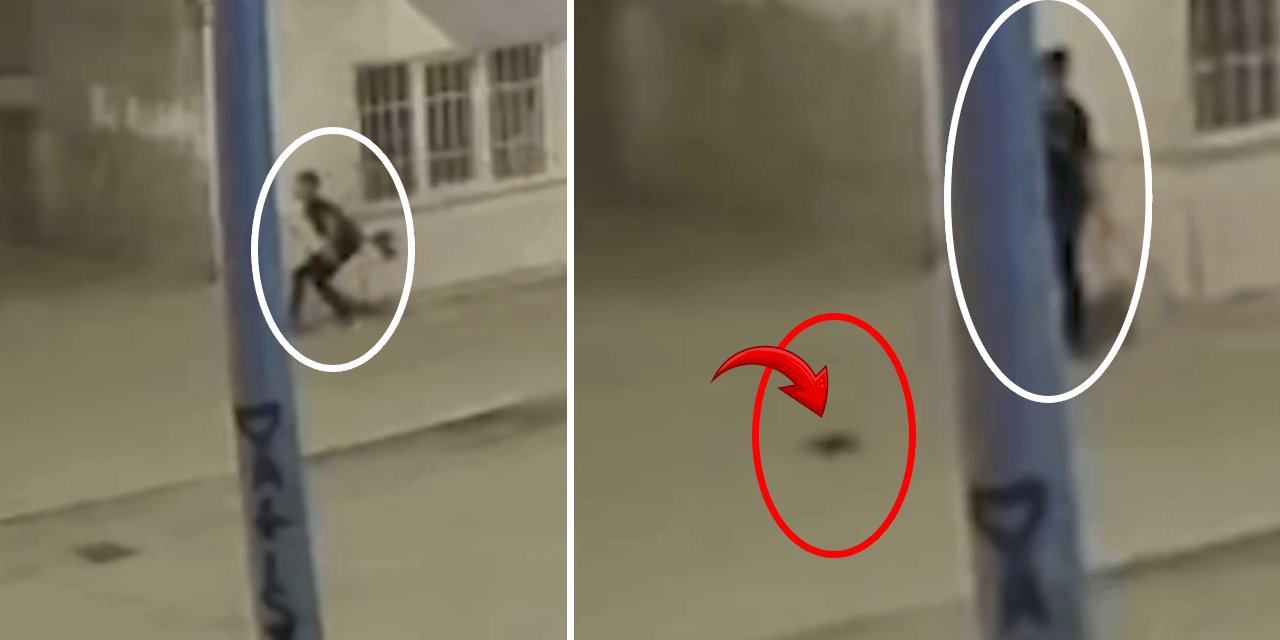 Yavru kediye sokak ortasında işkence: Defalarca havaya atıp düşürdü! Kan donduran olay Aksaray'da yaşandı