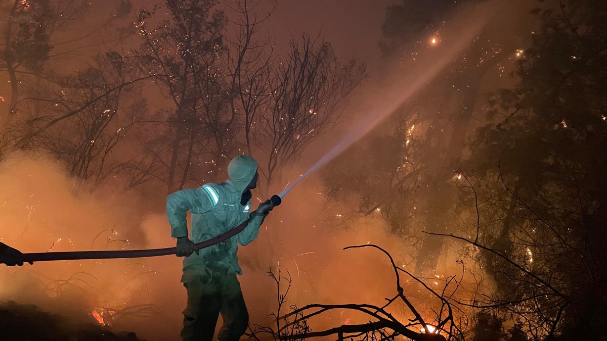 Milas ve Alanya'da orman yangını: Evler tahliye edildi