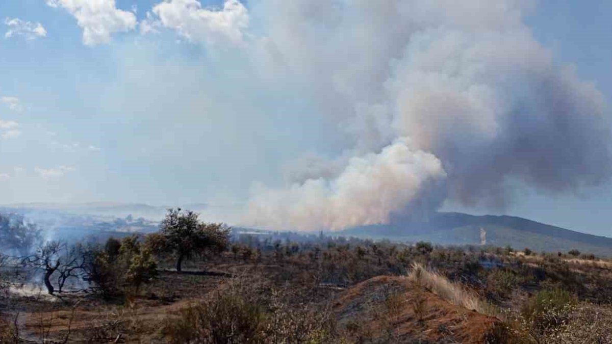 Çanakkale'de yangın ormana sıçradı