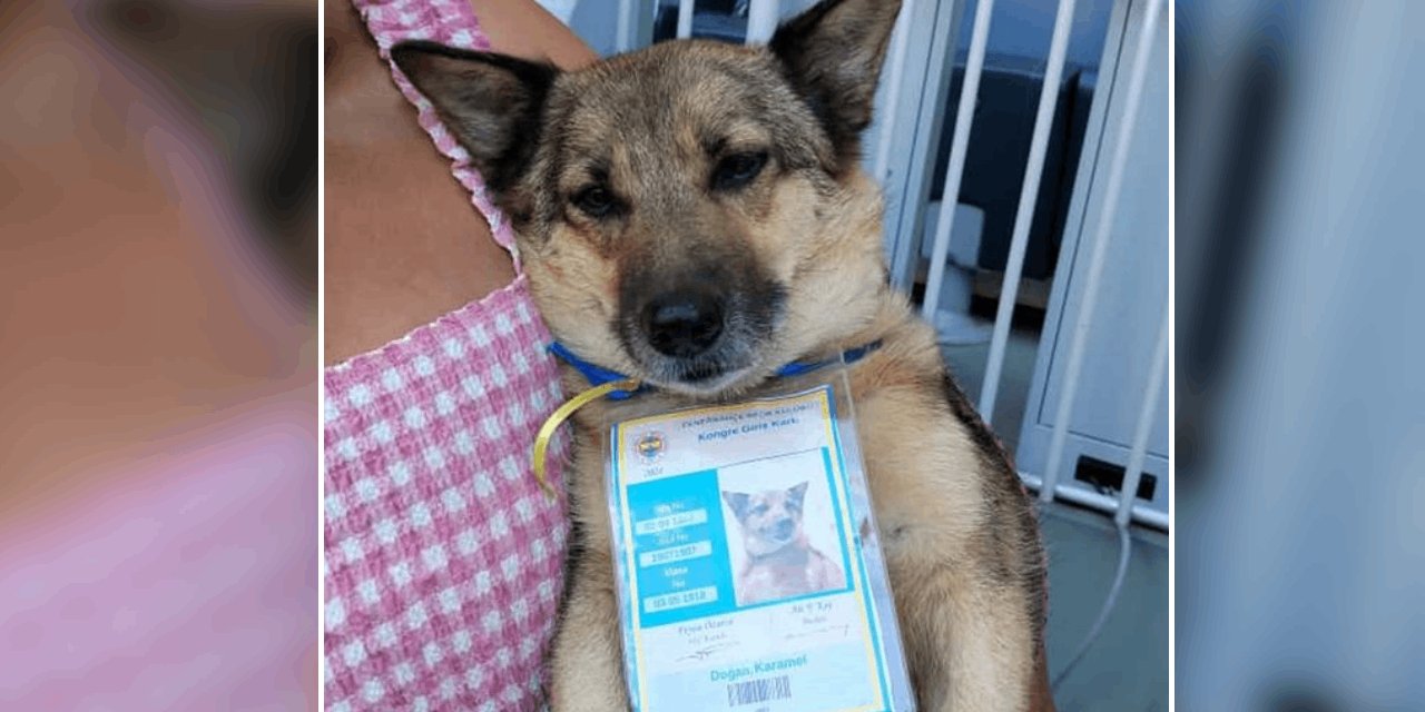 Fenerbahçe kongresinde dikkat çeken görüntü! Onun da giriş kartı var