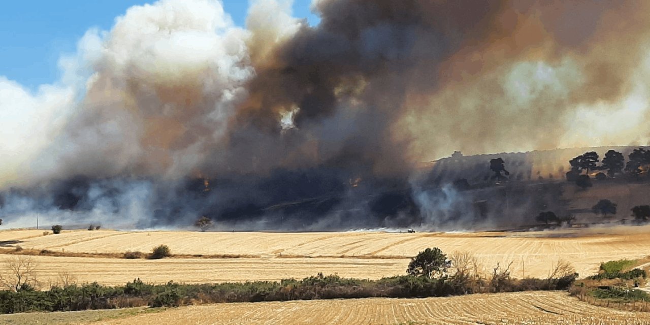 Çanakkale'deki orman yangını ile ilgili yeni gelişme