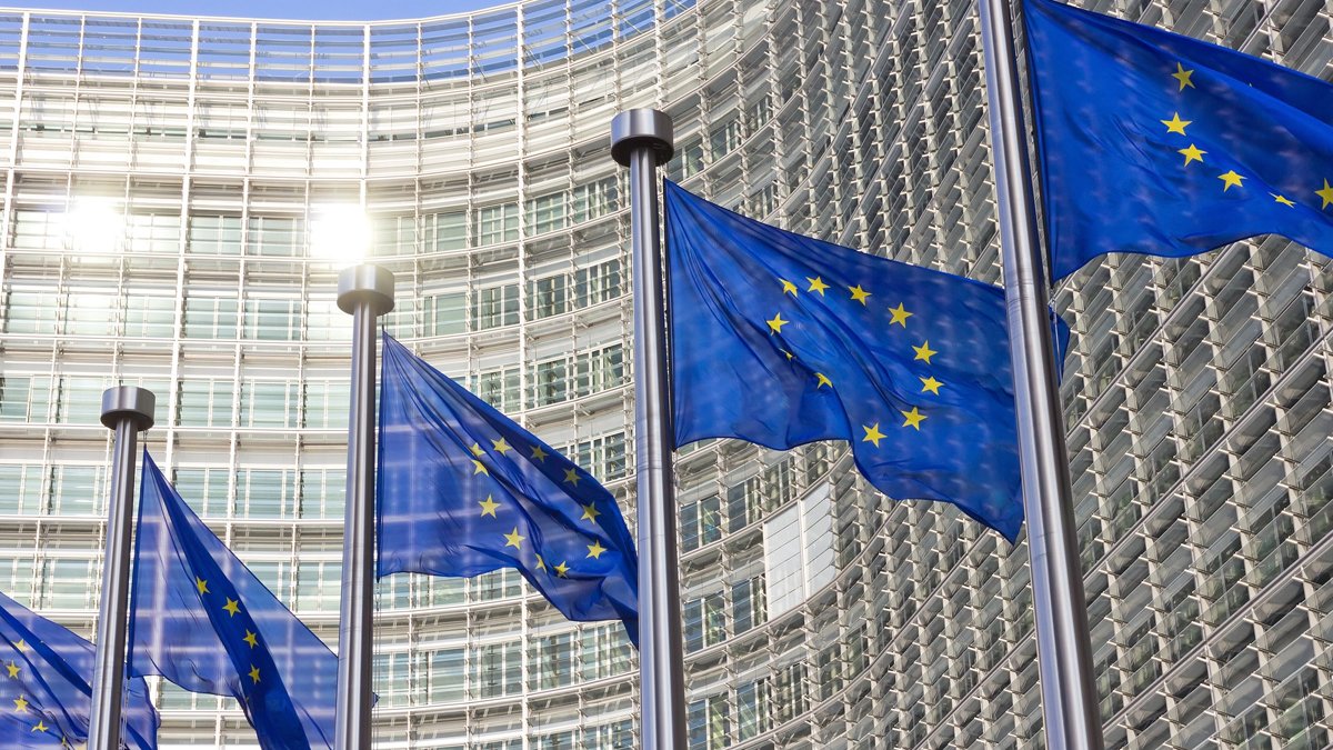 Polonya'dan Gazze'ye sert tepki: Başbakan Tusk, bölgedeki durumu 'korkunç' olarak nitelendirdi!