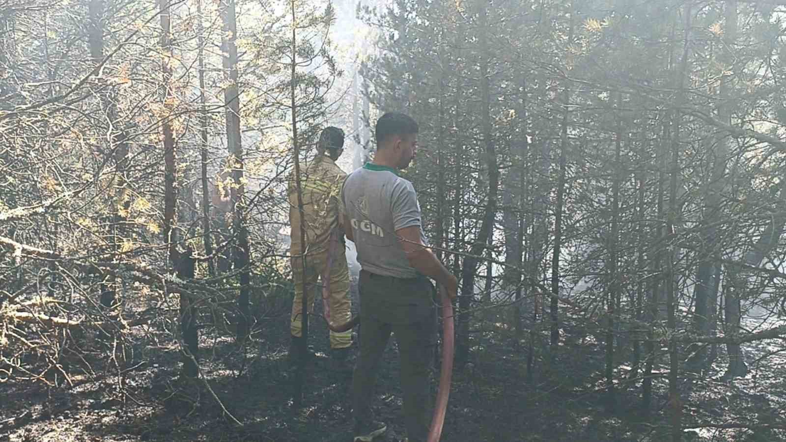 Kastamonu'da orman yangını kontrol altına alındı