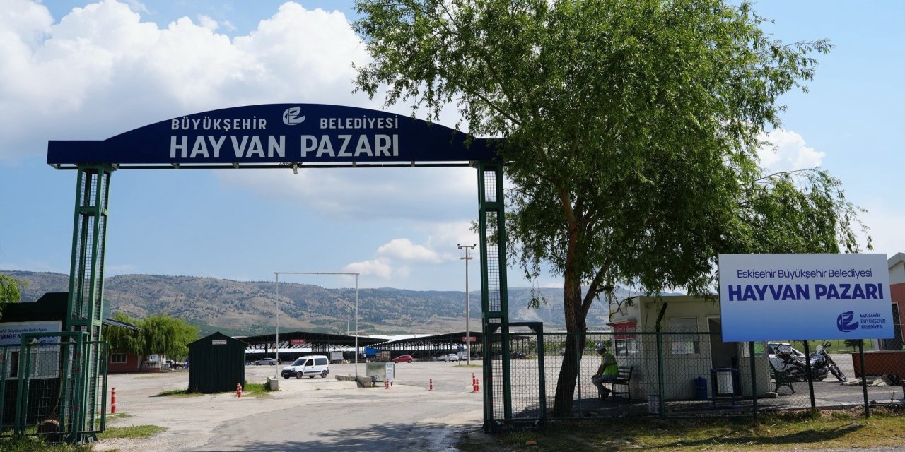 Eskişehir’de şap alarmı: Büyükşehir Hayvan Pazarı geçici olarak kapatıldı