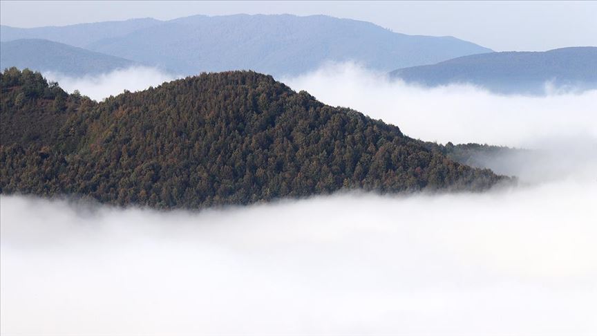Bolu Dağı'nda kritik hava koşulları: Görüş mesafesi 25 metreye kadar düştü